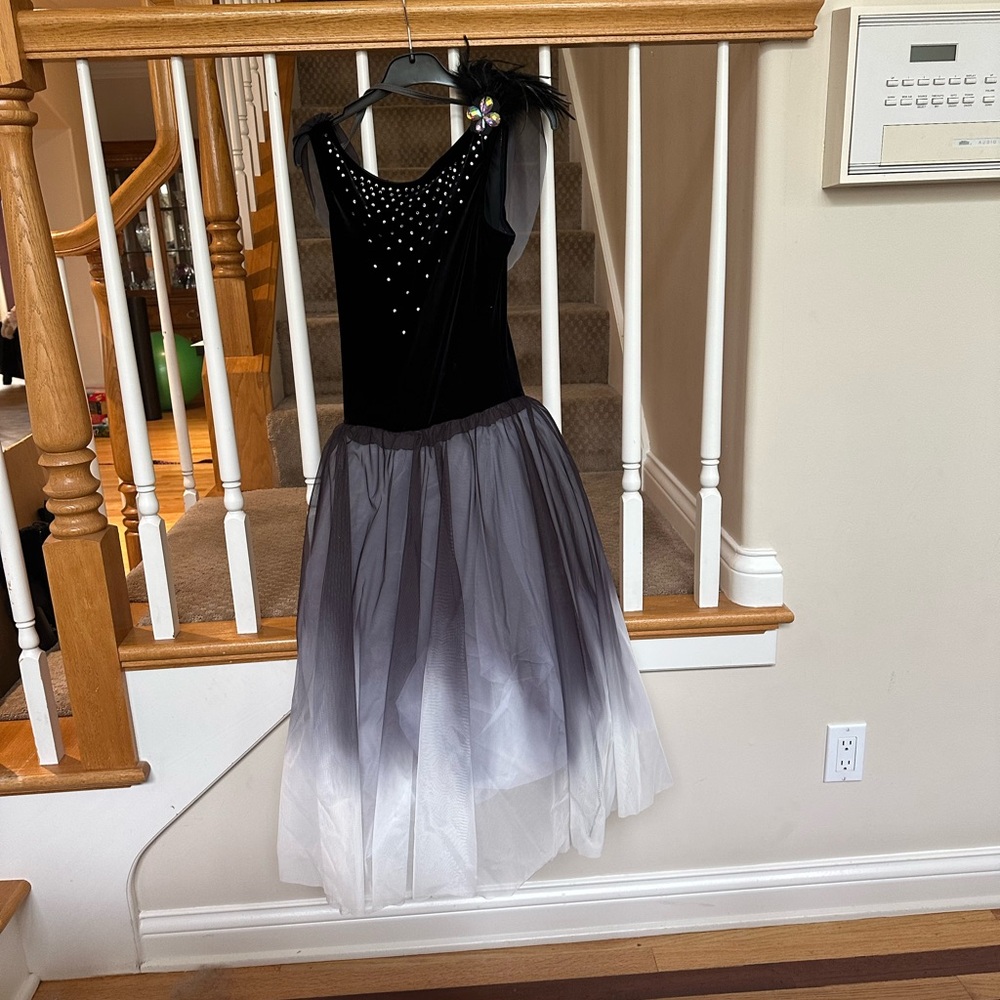 Weissman Ballet Dance Costume - image 1
